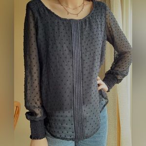 Lined Navy Blue Puff Long Sleeve Transparent Blouse